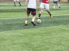 体育网址,资讯,333体育网址,333体育网址,333体育平台,333体育官网app,333体育官网登录