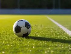 赛普黄金初,乳蛋白片,富含碱性蛋,333体育网址,333体育平台,333体育官网app,333体育官网登录