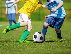 FIFA,XEX,巴西世界杯,333体育网址,333体育平台,333体育官网app,333体育官网登录