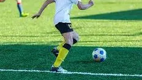 333体育网址 产品 132451 wxj