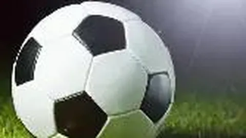 333体育网址 资讯 132443 bu2