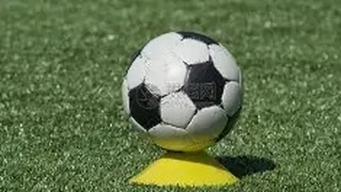 333体育网址 资讯 131027 sgo