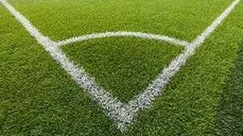 333体育网址 资讯 131459 vzb