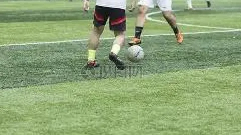 333体育网址 资讯 131251 hgo